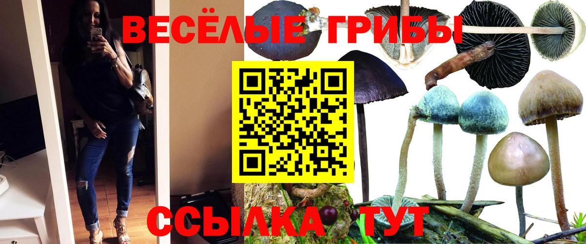 Среднеуральск  Псилоцибиновые грибы прущие грибы  Вход с VPN  Псилоцибиновые грибы Magic Shrooms 